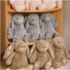 2025 JELLYCAT Blossom Bunny Rabbit Plush Toys Doll 31cm Stuffed Doll Kids Gifts